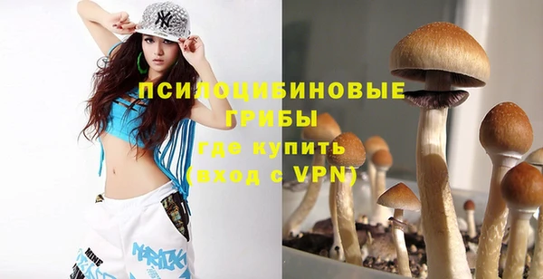 эйфоретик Баксан