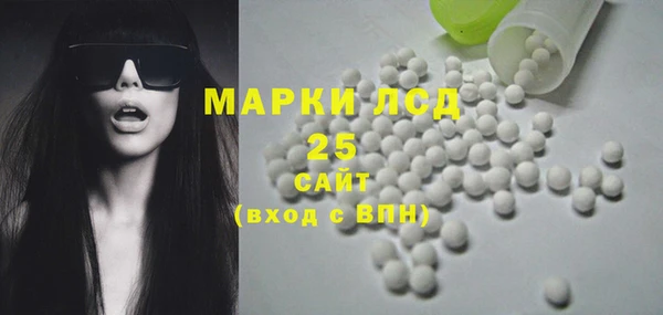 эйфоретик Баксан