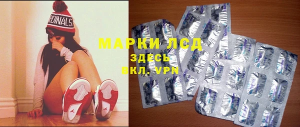 эйфоретик Баксан